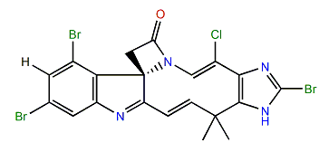 Chartelline B